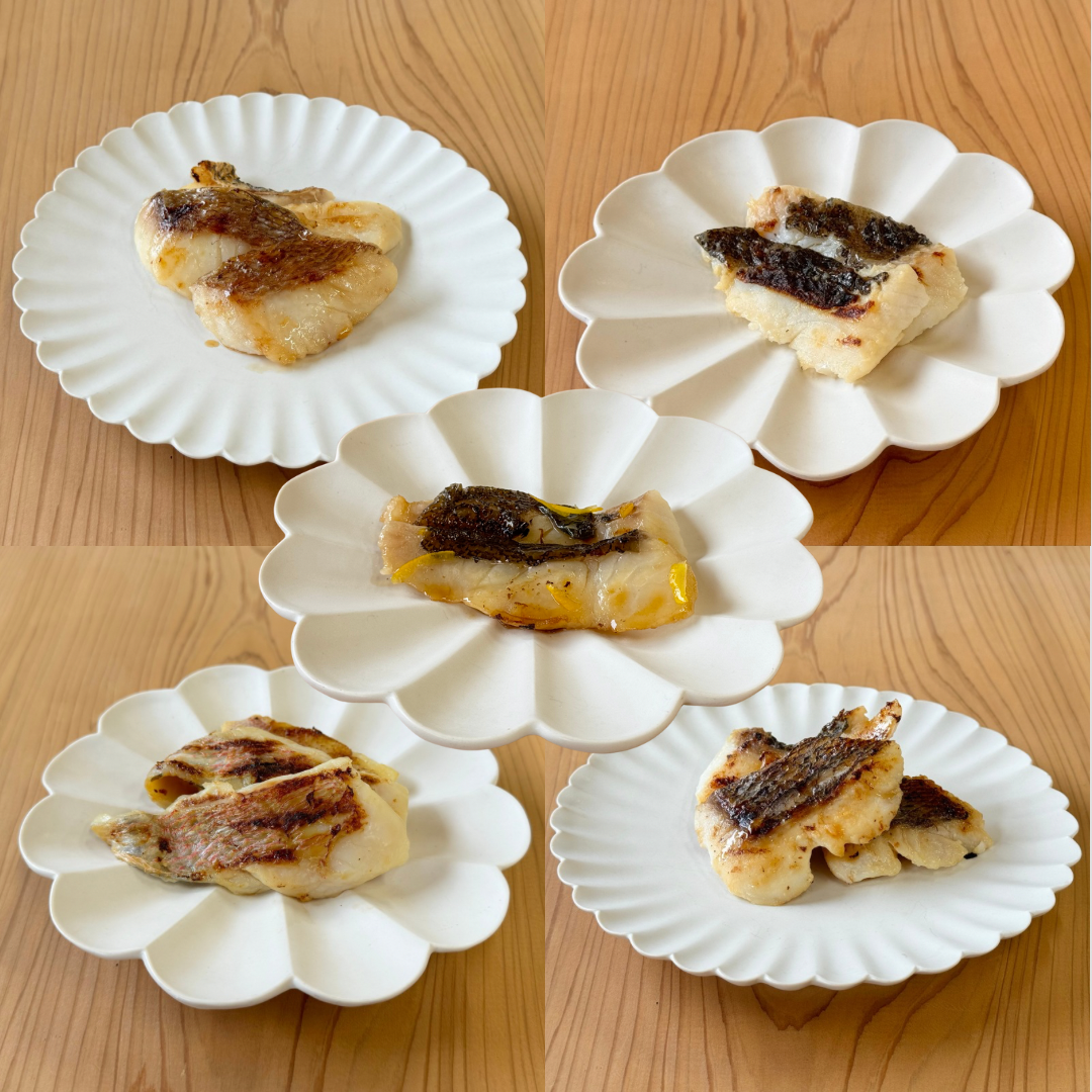 FISH DISH BOX【プレミアム】